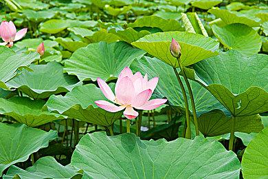 《战地6》官方真人发售宣传片 公开嘲讽COD名人皮肤